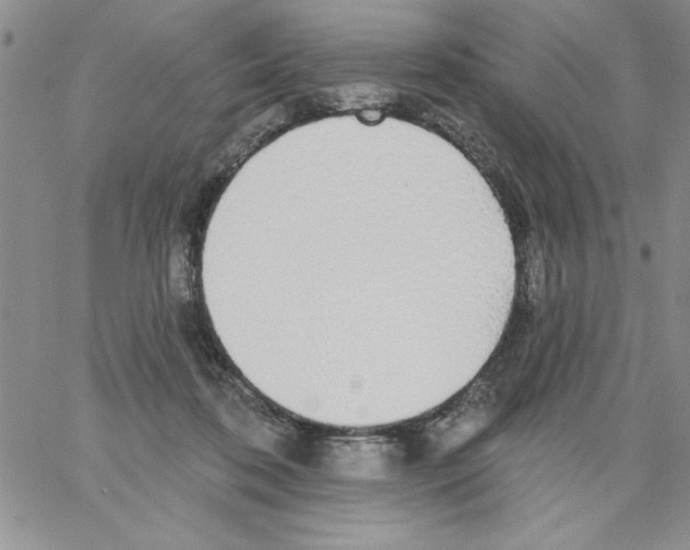 X0000066970316200604211913