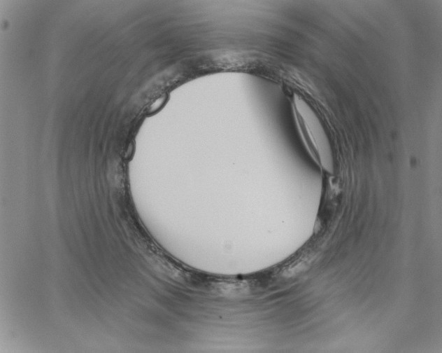 X0000066970317200604211913