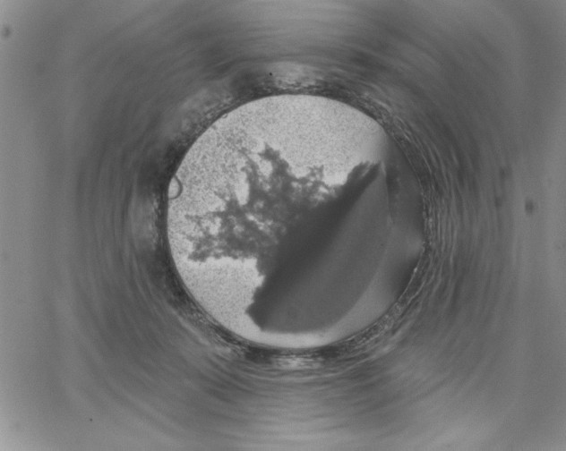 X0000066970319200604211913