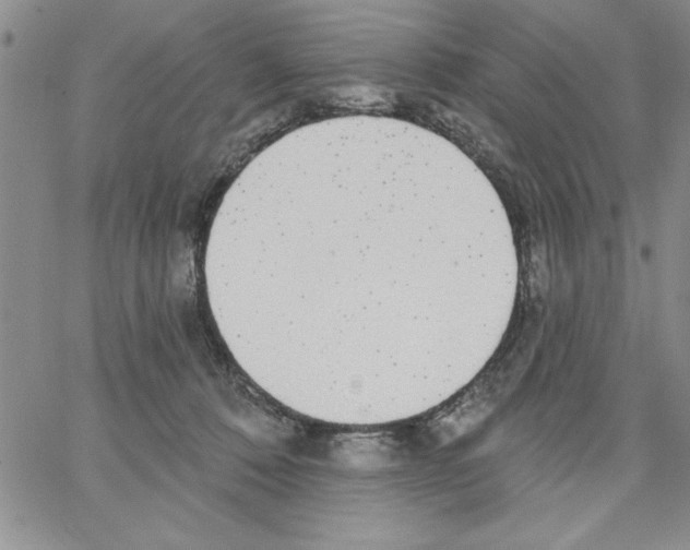 X0000066970320200604211913