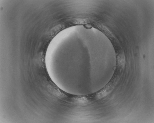 X0000066970322200604211913