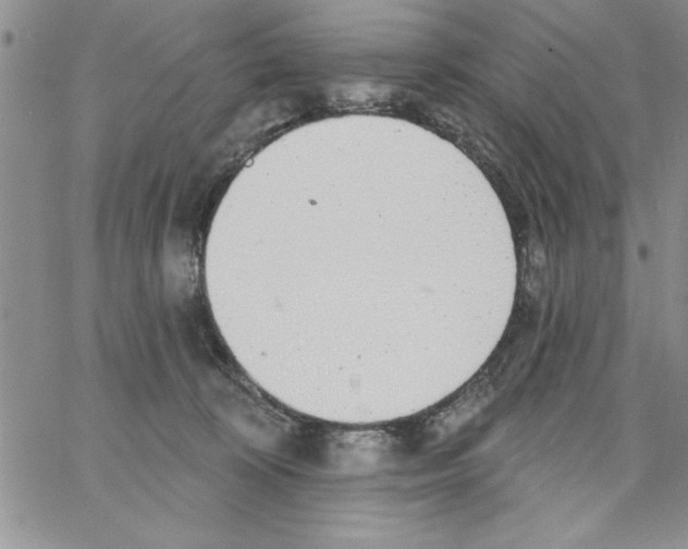 X0000066970324200604211913