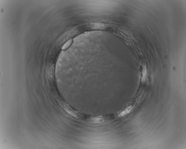 X0000066970325200604211913