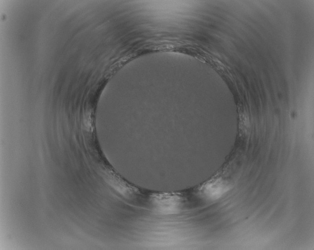 X0000066970331200604211913