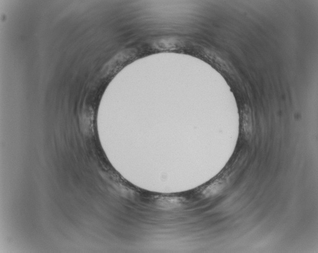 X0000066970332200604211913