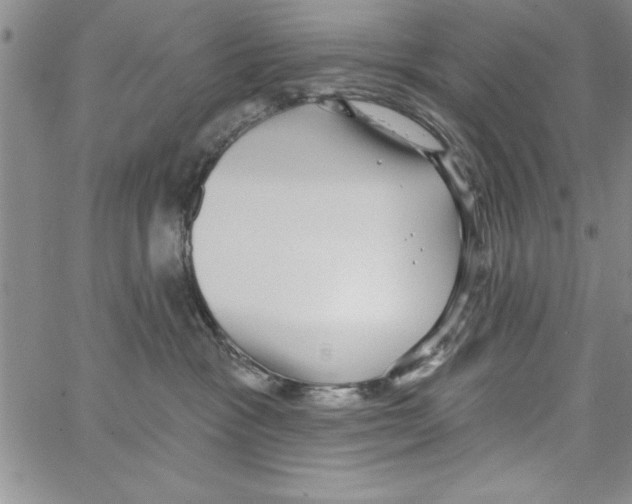 X0000066970333200604211913