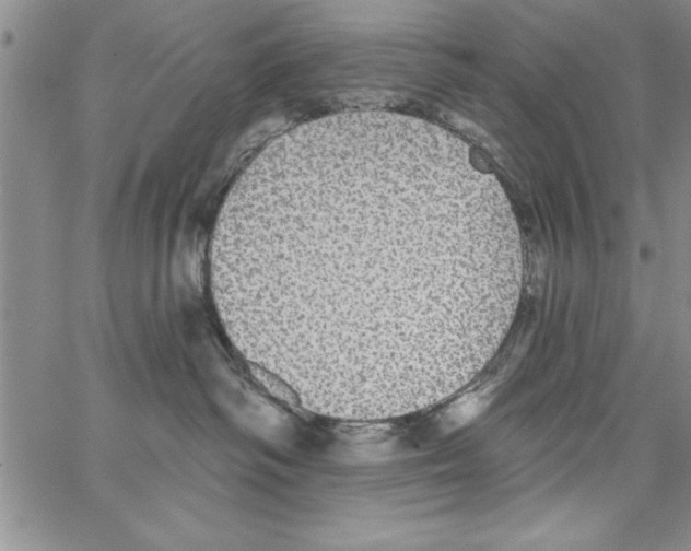 X0000066970334200604211913