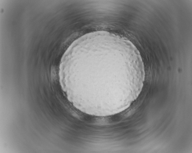 X0000066970335200604211913