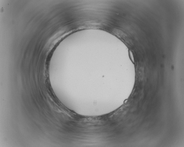 X0000066970338200604211912