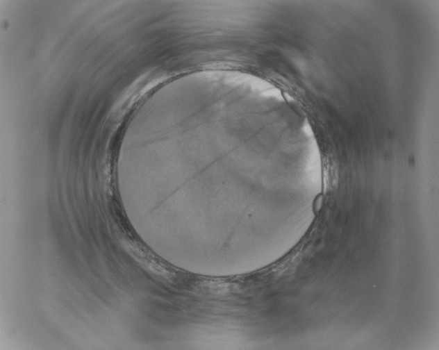 X0000066970339200604211912