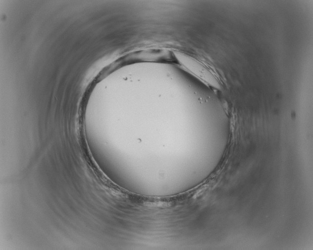 X0000066970340200604211912