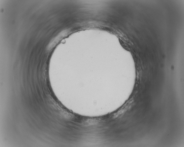 X0000066970341200604211912