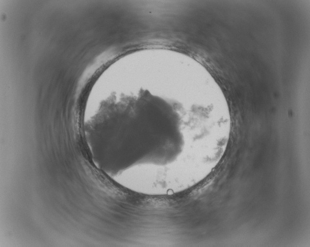 X0000066970343200604211912