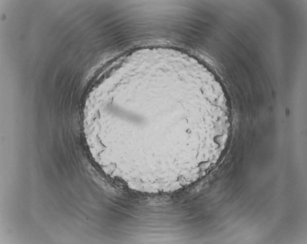 X0000066970345200604211912