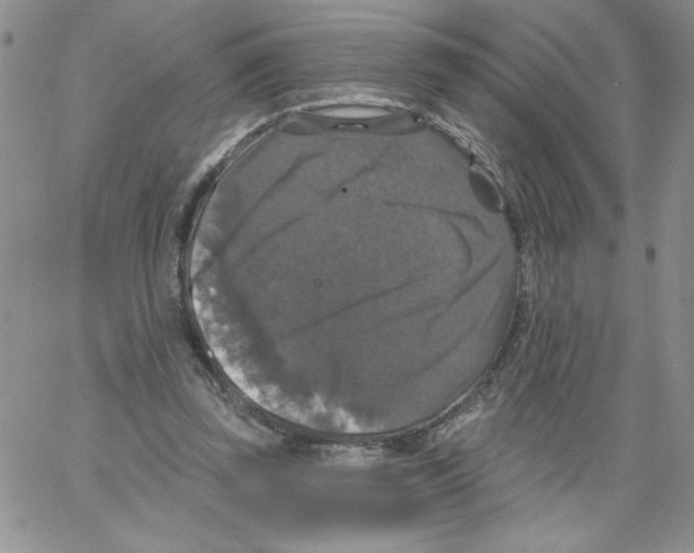 X0000066970347200604211912