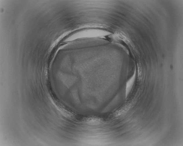 X0000066970348200604211912