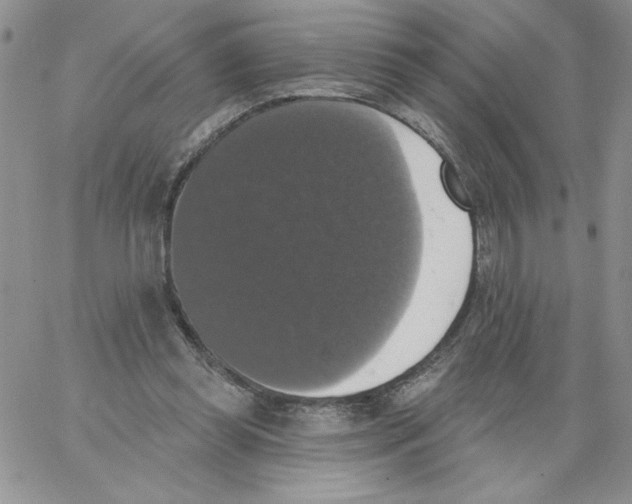 X0000066970349200604211912