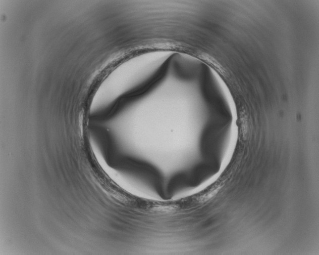 X0000066970350200604211912