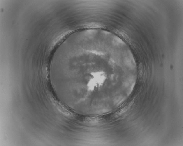 X0000066970351200604211912