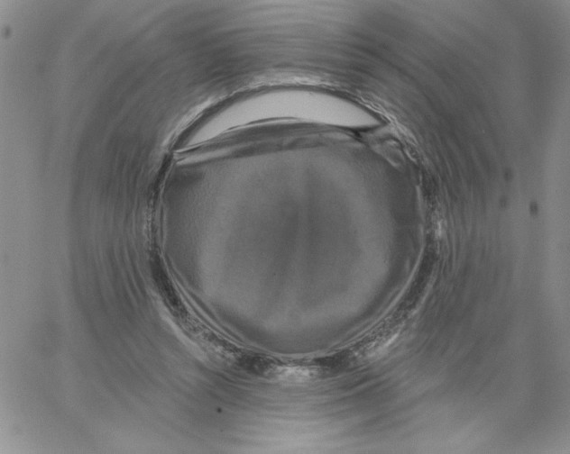 X0000066970352200604211912