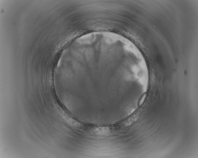 X0000066970353200604211912