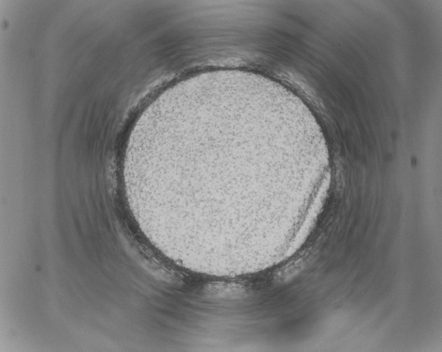 X0000066970354200604211912