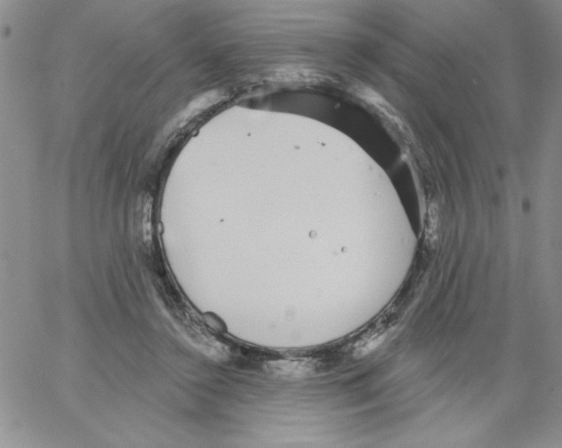 X0000066970356200604211912