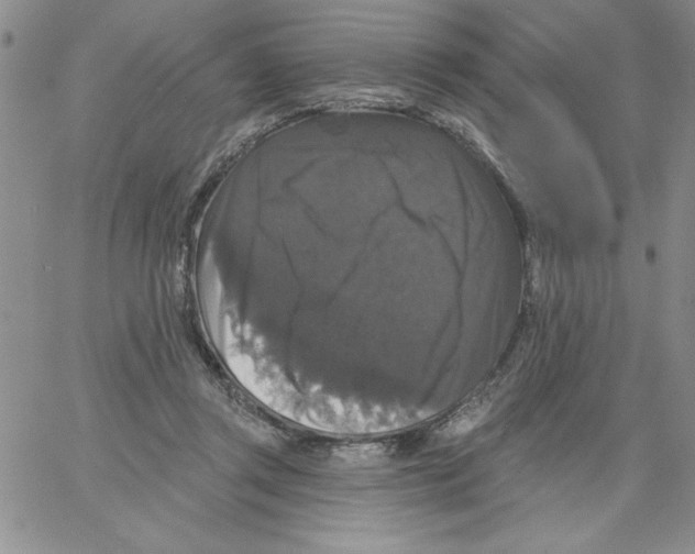 X0000066970357200604211912