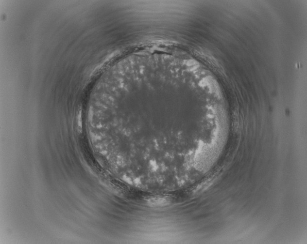 X0000066970358200604211912