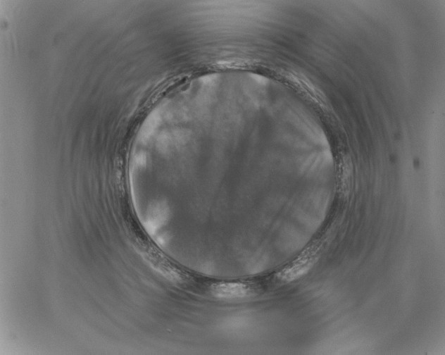 X0000066970361200604211912