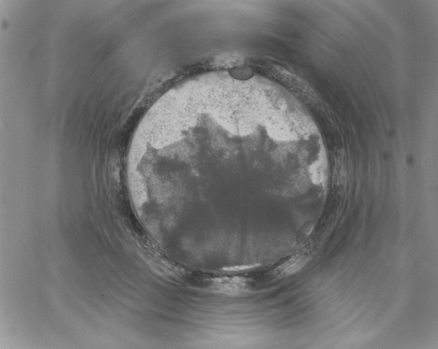 X0000066970363200604211912