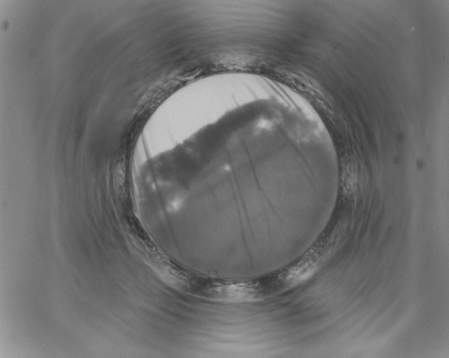 X0000066970365200604211912