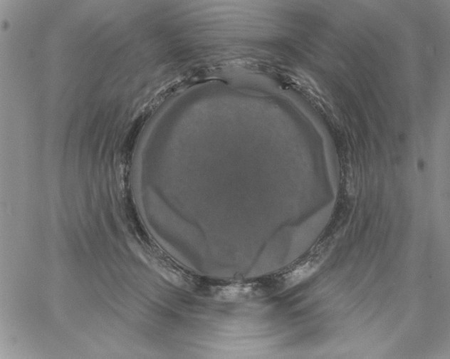 X0000066970366200604211912