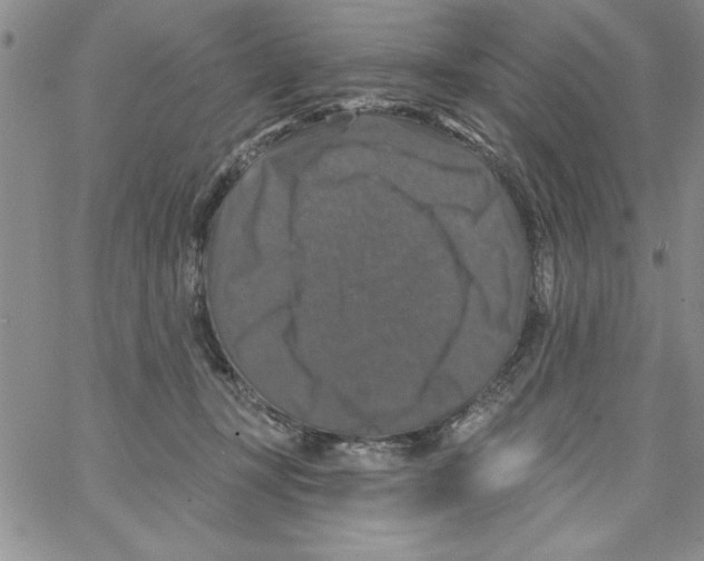 X0000066970367200604211912