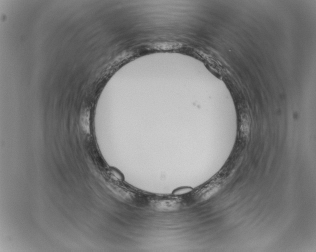 X0000066970368200604211912