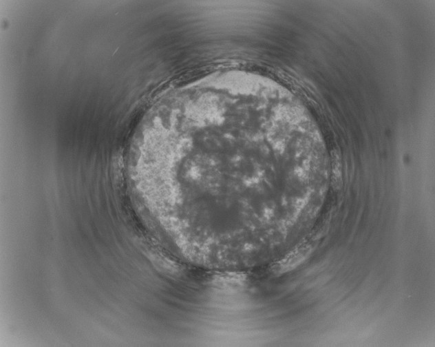 X0000066970369200604211912