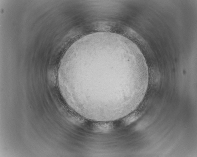 X0000066970370200604211912