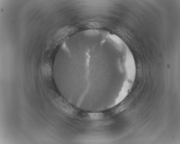 X0000066970371200604211912