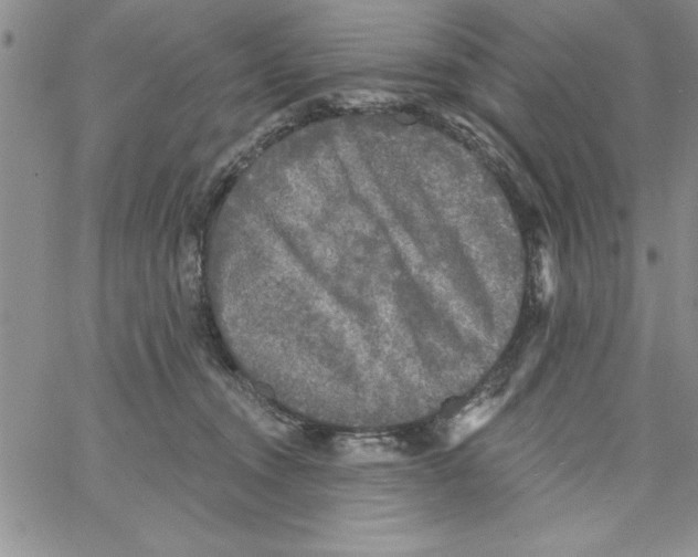 X0000066970372200604211912