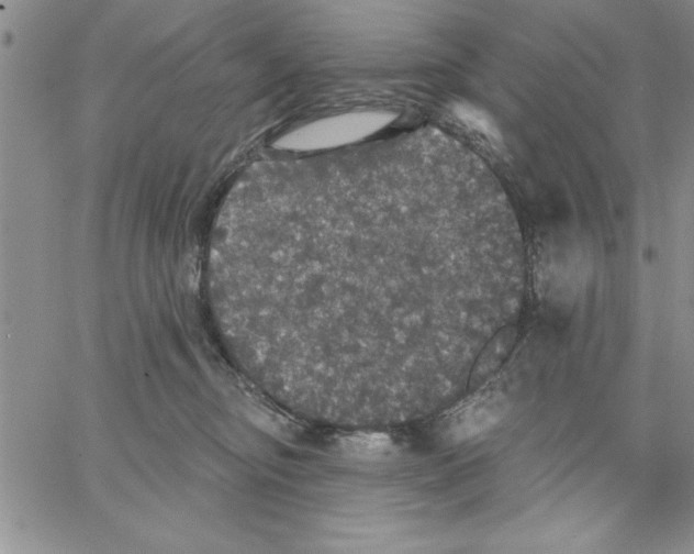 X0000066970374200604211912