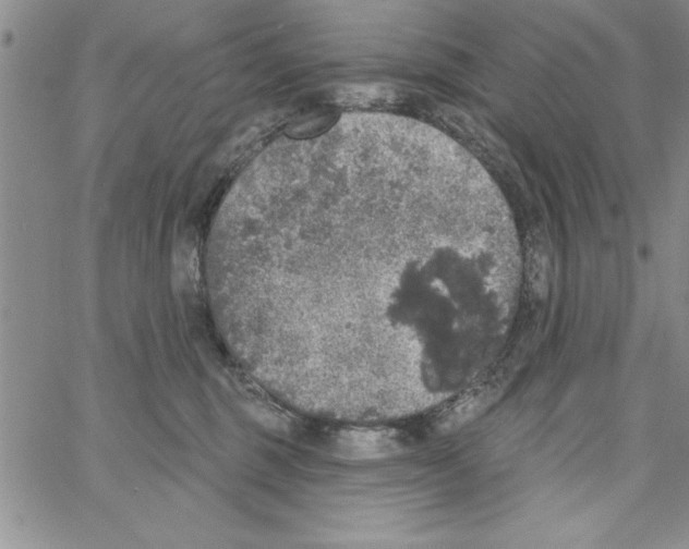 X0000066970375200604211912