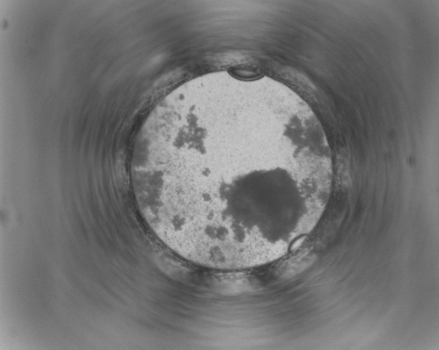 X0000066970377200604211912