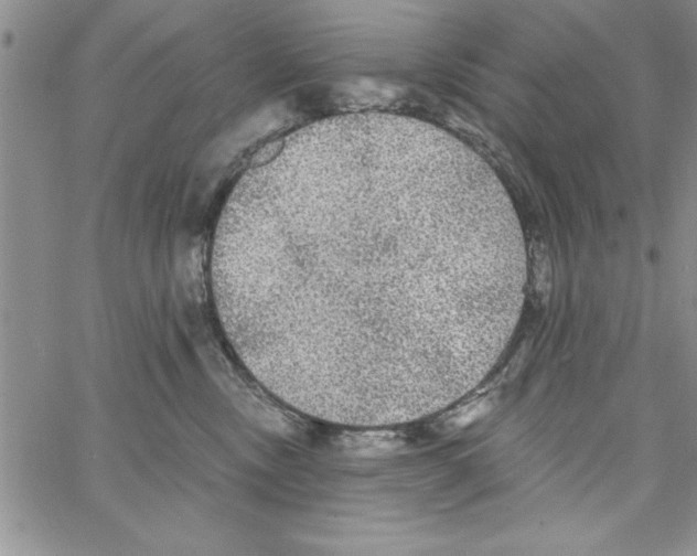 X0000066970378200604211912