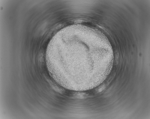 X0000066970379200604211912