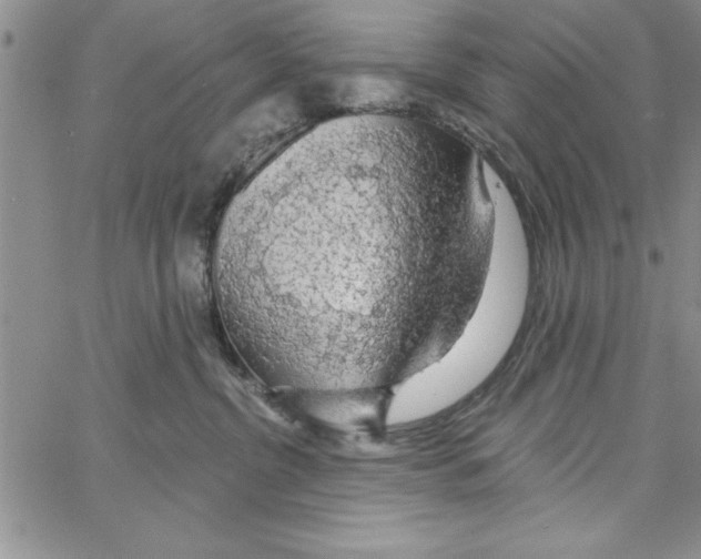 X0000066970380200604211912