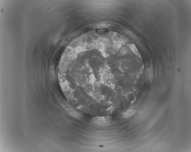 X0000066970381200604211912