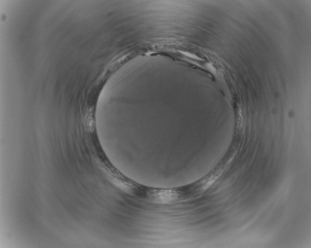 X0000066970383200604211913