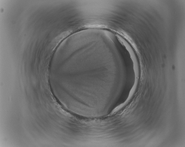 X0000066970385200604211912