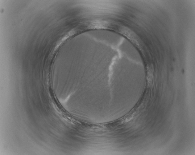 X0000066970386200604211912