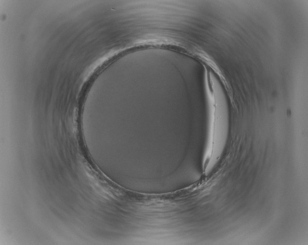 X0000066970387200604211912